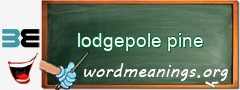 WordMeaning blackboard for lodgepole pine